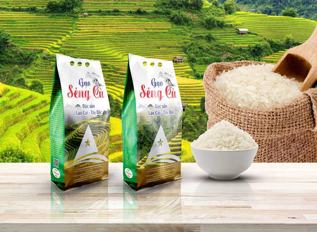 giá gạo séng cù Lào Cai