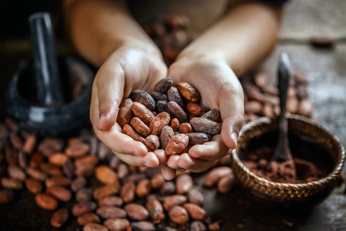 Địa chỉ mua hạt cacao rang sẵn ăn liền giá tốt